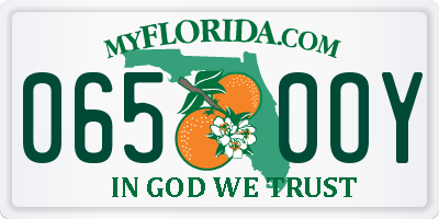 FL license plate 0650OY