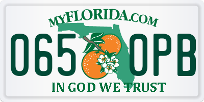 FL license plate 0650PB