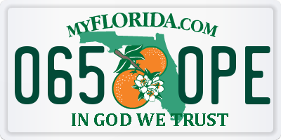 FL license plate 0650PE