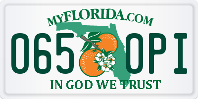 FL license plate 0650PI
