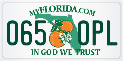 FL license plate 0650PL