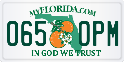 FL license plate 0650PM