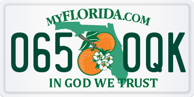 FL license plate 0650QK