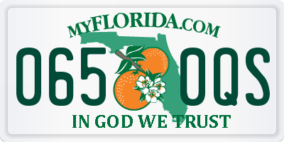 FL license plate 0650QS