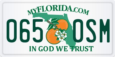 FL license plate 0650SM