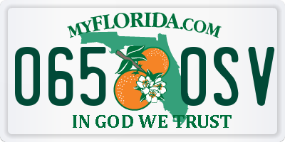 FL license plate 0650SV