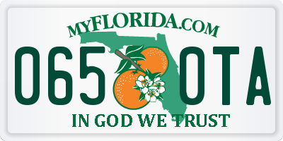 FL license plate 0650TA