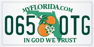 FL license plate 0650TG