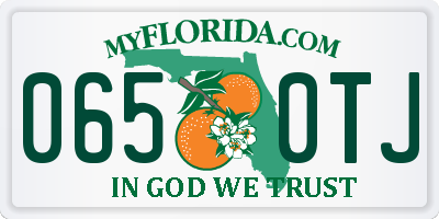 FL license plate 0650TJ