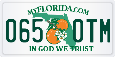 FL license plate 0650TM