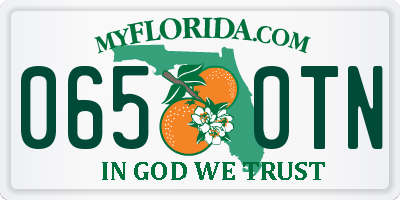 FL license plate 0650TN