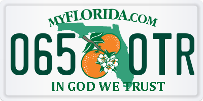 FL license plate 0650TR