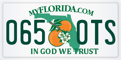 FL license plate 0650TS