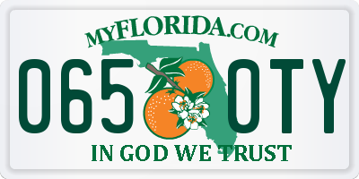 FL license plate 0650TY