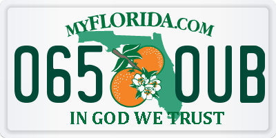 FL license plate 0650UB