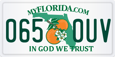 FL license plate 0650UV