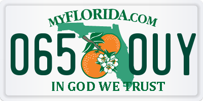 FL license plate 0650UY