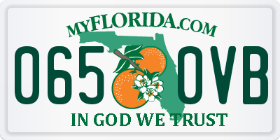 FL license plate 0650VB