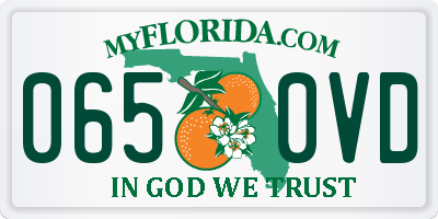 FL license plate 0650VD