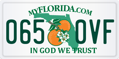 FL license plate 0650VF