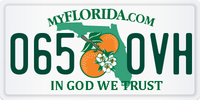 FL license plate 0650VH