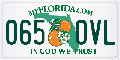 FL license plate 0650VL