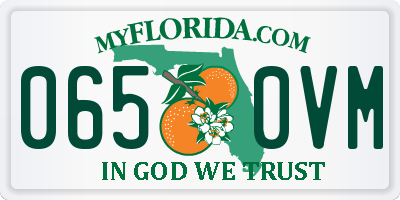 FL license plate 0650VM