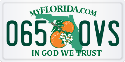 FL license plate 0650VS