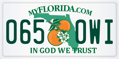 FL license plate 0650WI