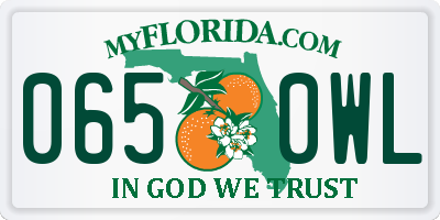 FL license plate 0650WL