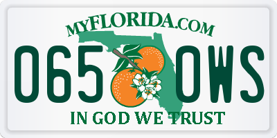 FL license plate 0650WS