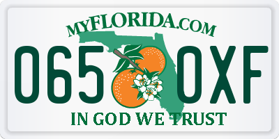 FL license plate 0650XF