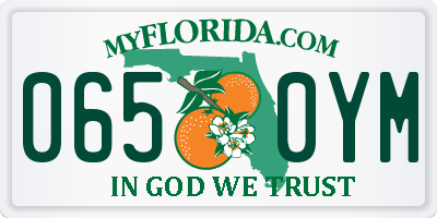 FL license plate 0650YM