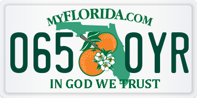 FL license plate 0650YR