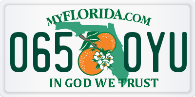FL license plate 0650YU