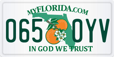 FL license plate 0650YV