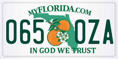 FL license plate 0650ZA