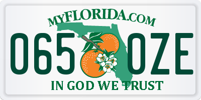 FL license plate 0650ZE