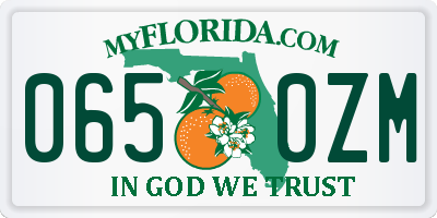 FL license plate 0650ZM