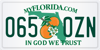 FL license plate 0650ZN