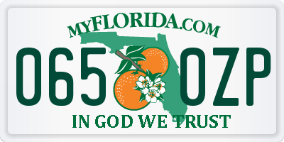 FL license plate 0650ZP