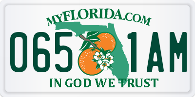 FL license plate 0651AM