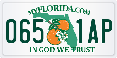 FL license plate 0651AP