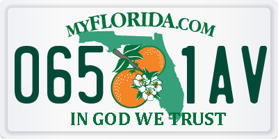 FL license plate 0651AV
