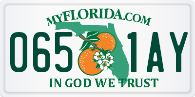 FL license plate 0651AY