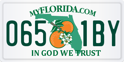 FL license plate 0651BY