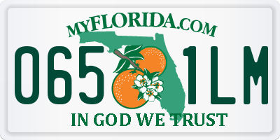 FL license plate 0651LM