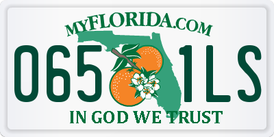 FL license plate 0651LS