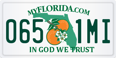 FL license plate 0651MI
