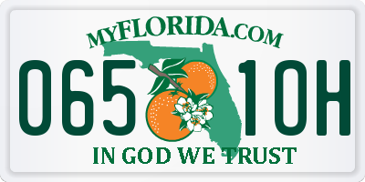 FL license plate 0651OH